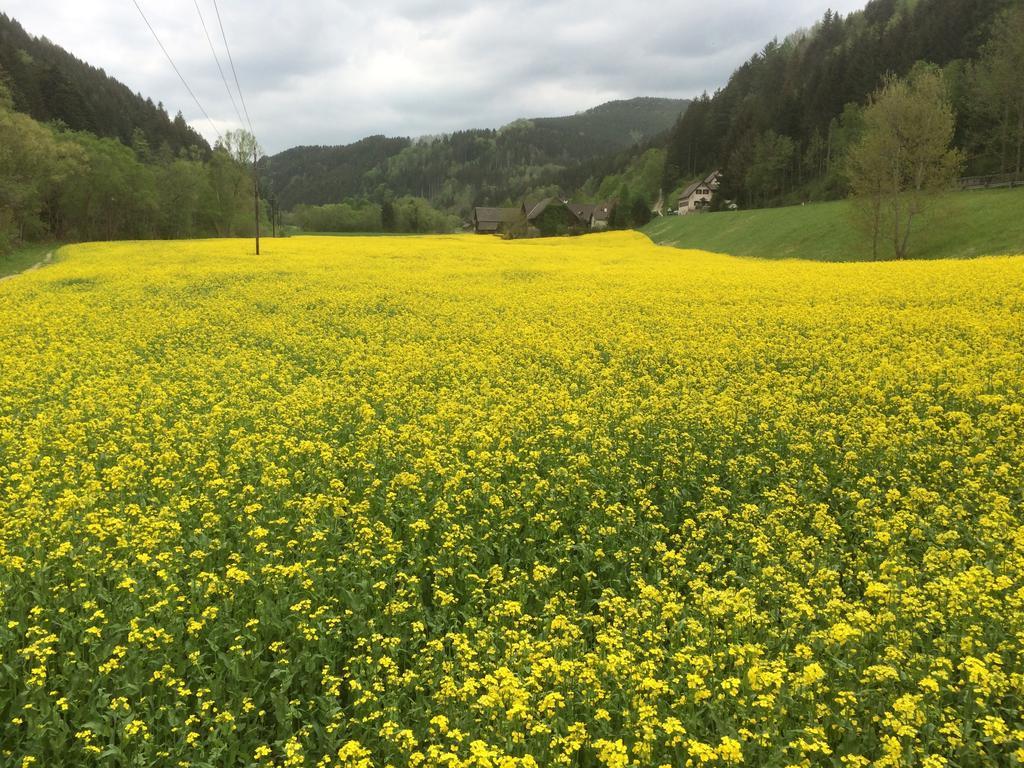 思嘉卜雷恩家庭会议酒店 Monichwald 外观 照片